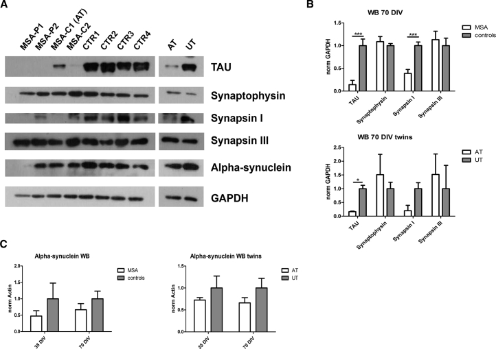 Figure 4