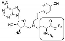 graphic file with name biomolecules-11-01357-i001.jpg