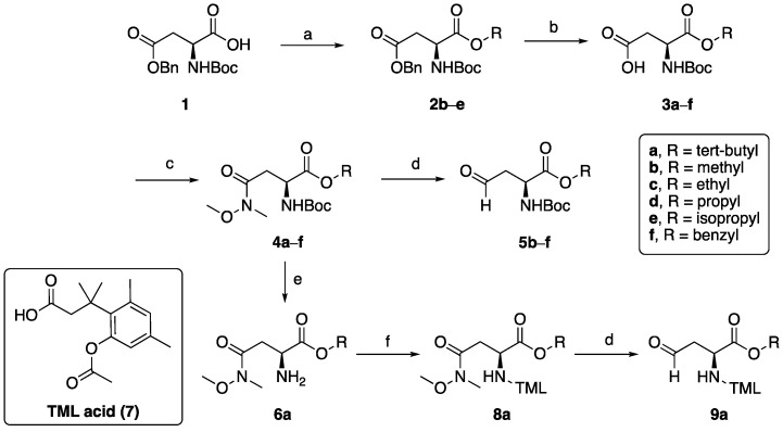 Scheme 1