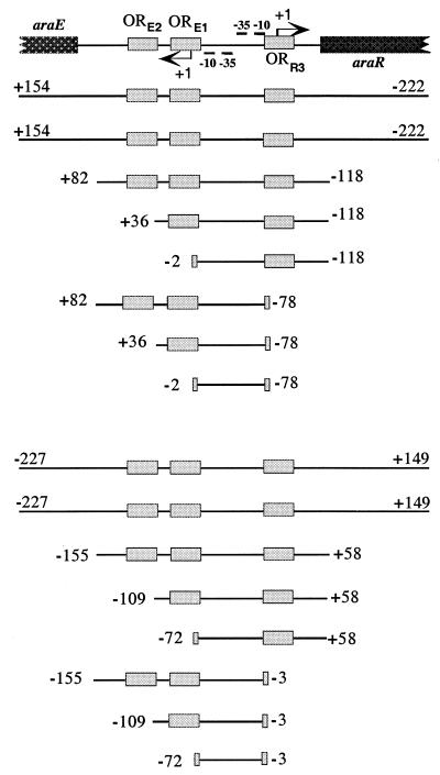 graphic file with name jb14102880t3.jpg