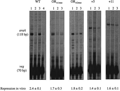 FIG. 5