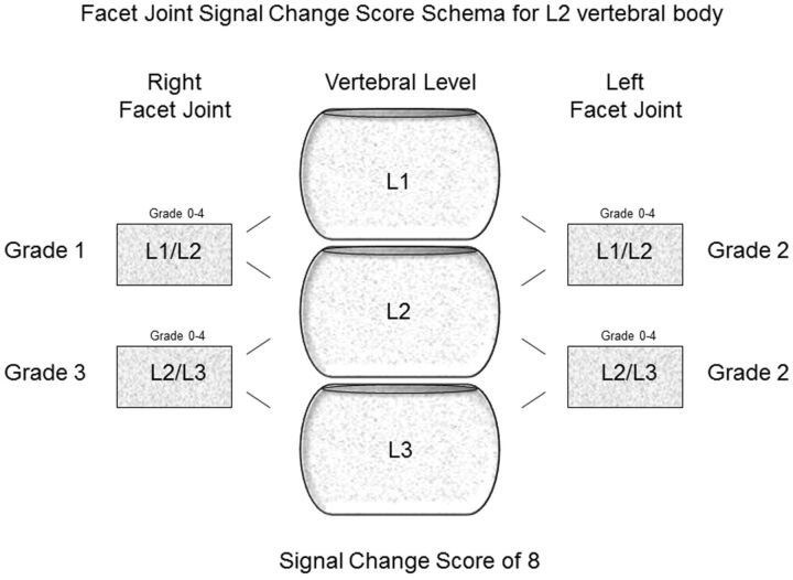 Fig 1.