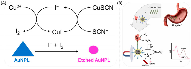 Figure 11