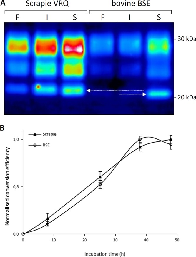 FIG 2