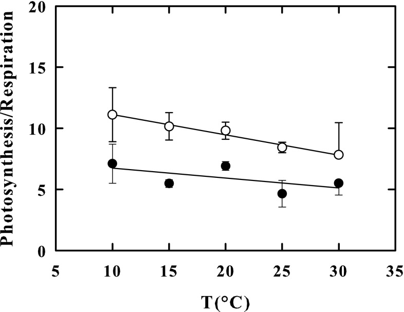 Fig. 5