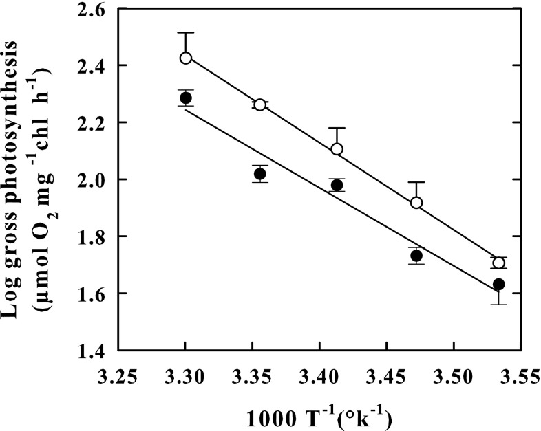 Fig. 3