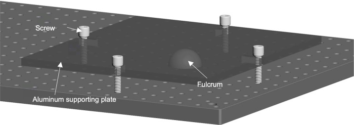 Figure 1—figure supplement 3.