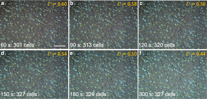 Figure 1—figure supplement 5.