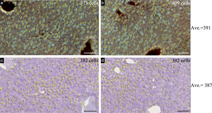 Figure 3—figure supplement 4.