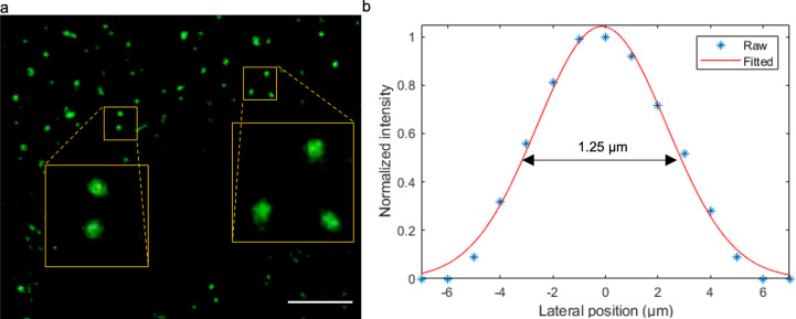 Figure 1—figure supplement 6.