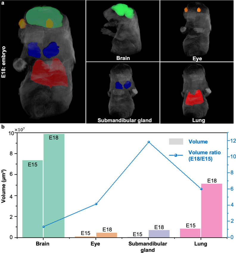 Figure 4—figure supplement 1.