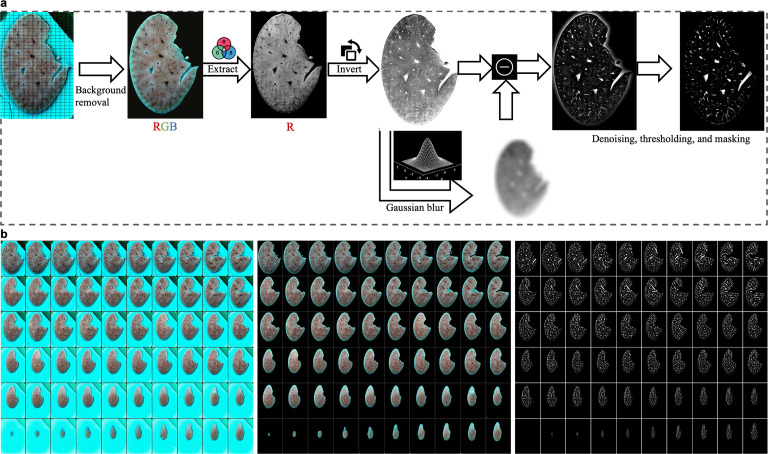 Figure 3—figure supplement 1.