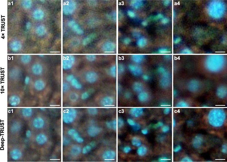 Figure 1—figure supplement 8.