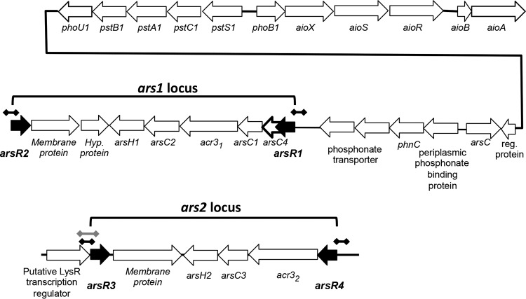 FIG 1