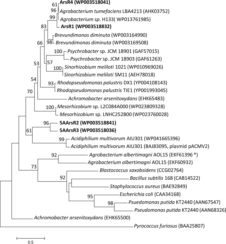 FIG 3