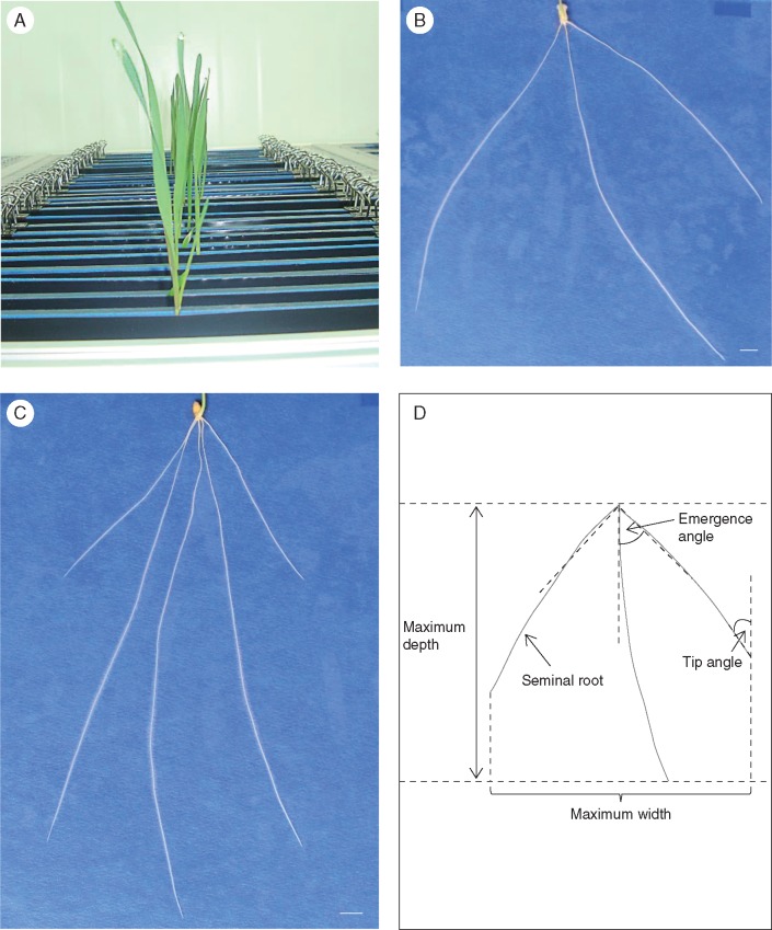 Fig. 1.