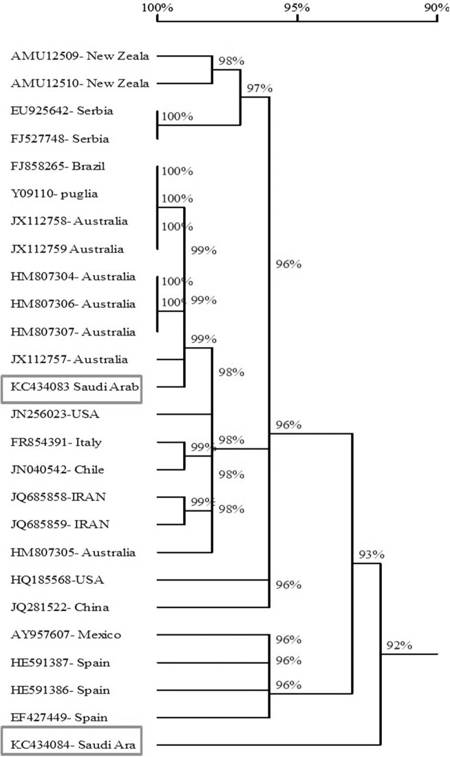 Fig. 6.