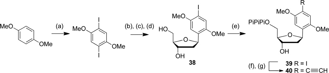 Scheme 5