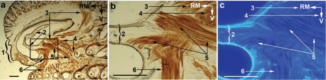 Figure 8