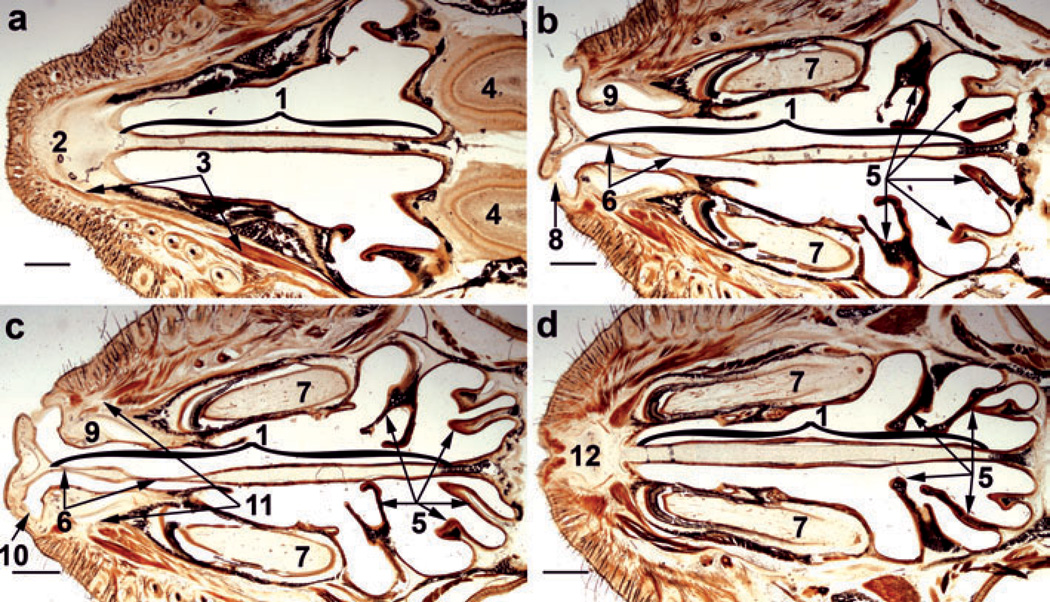 Figure 7