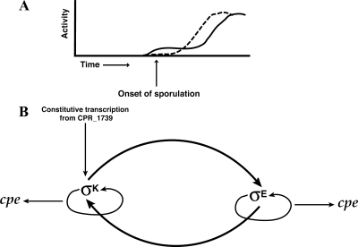 FIG. 10.