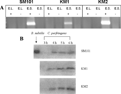 FIG. 8.