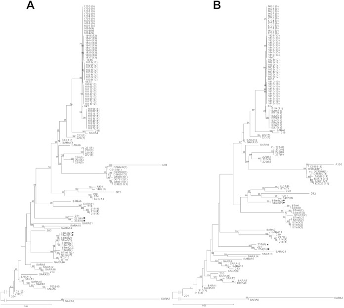 FIG 2