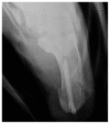 Figure 15