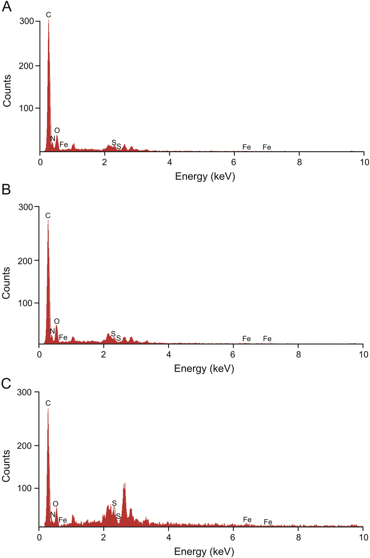 Fig. 2