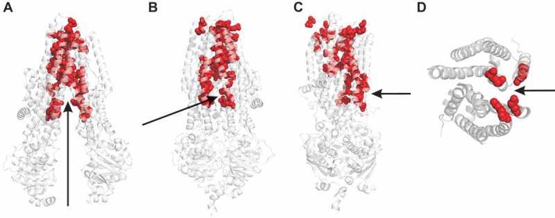 Figure 3.