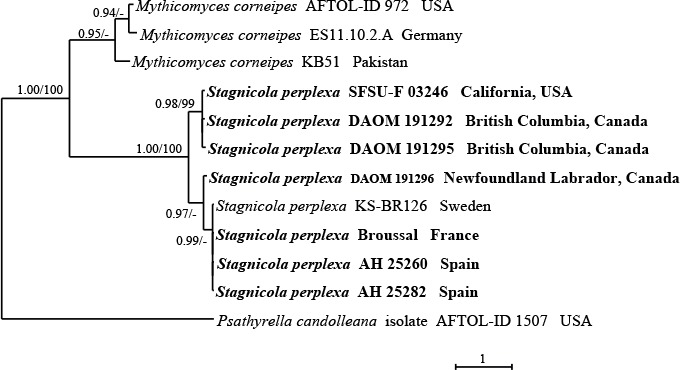 Fig. 2.