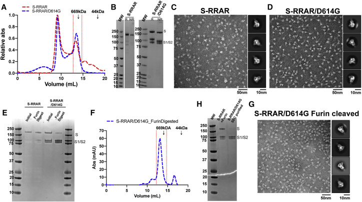 Figure 6