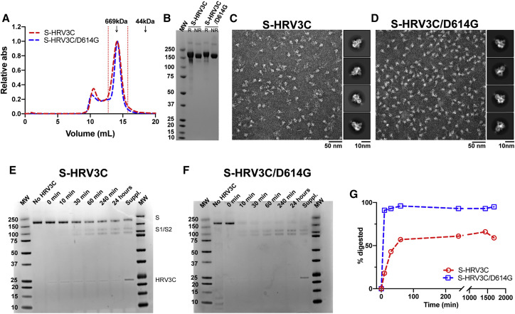 Figure 5