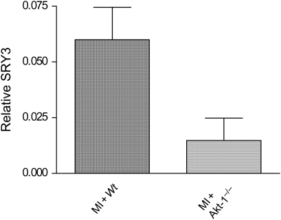 Figure 5