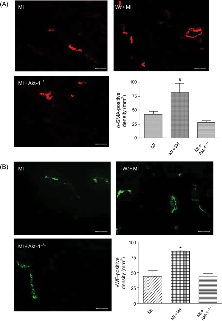 Figure 6