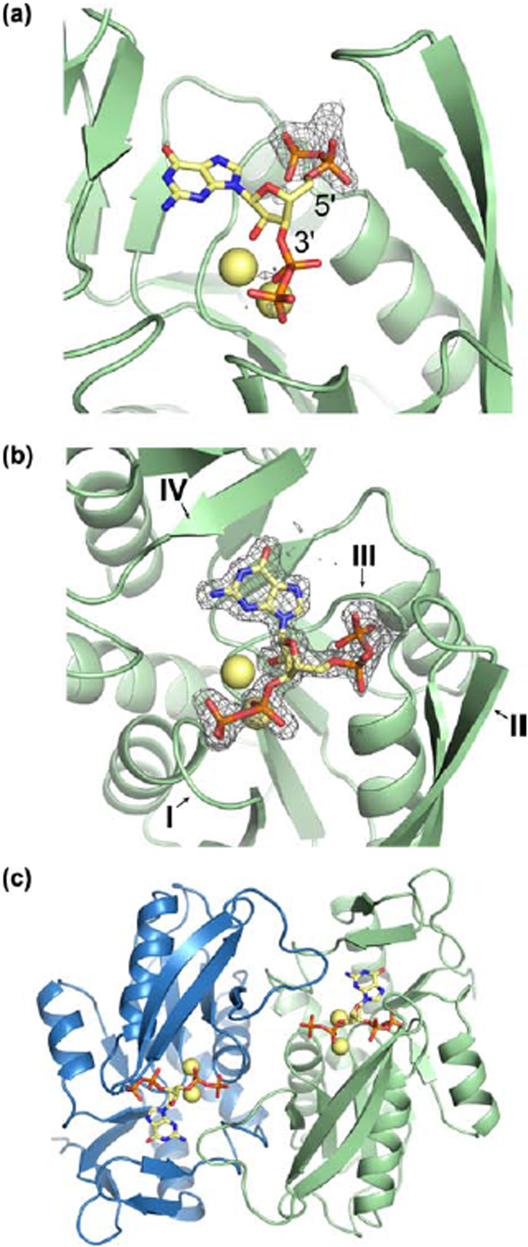 Figure 3.