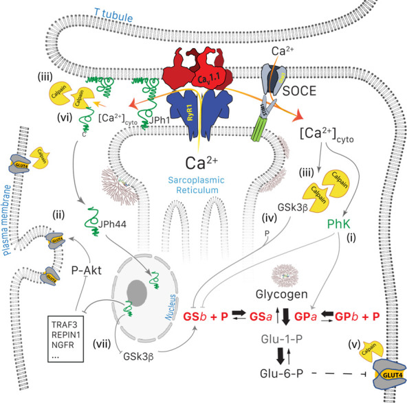Figure 9.