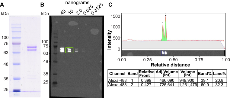 Figure 4