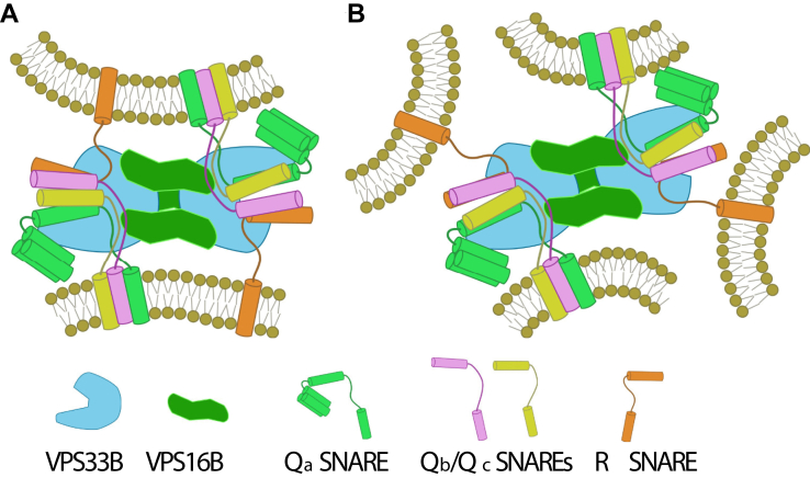 Figure 10