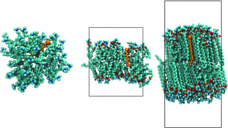 FIG. 2.