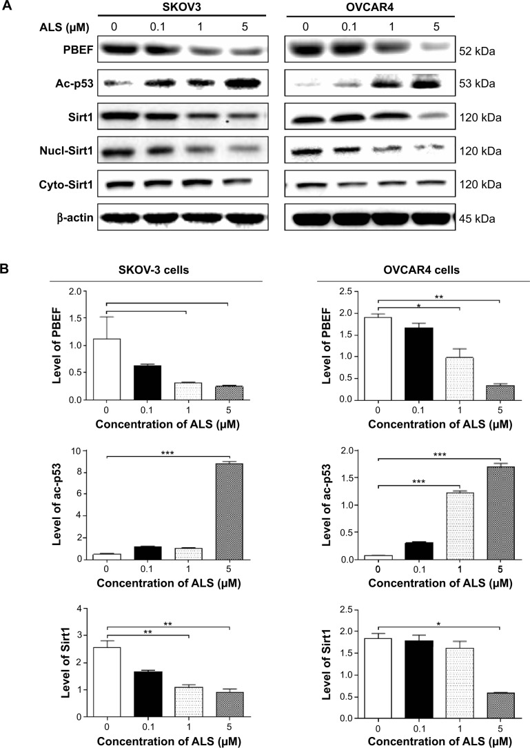 Figure 17