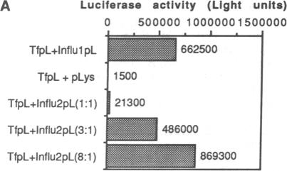 graphic file with name pnas01091-0097-a.jpg