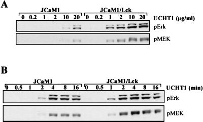 FIG. 9