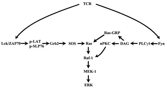 FIG. 13