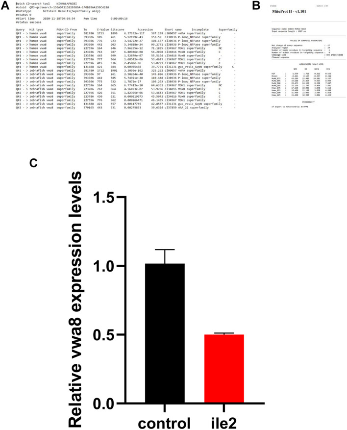 FIGURE 3