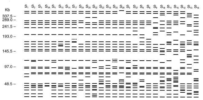 FIG. 5