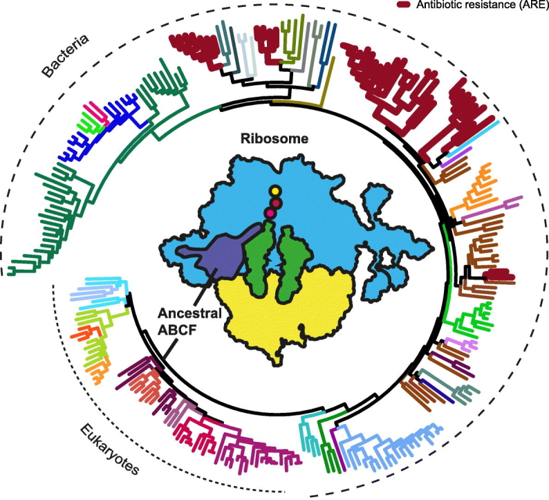 Unlabelled Image