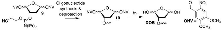 SCHEME 4