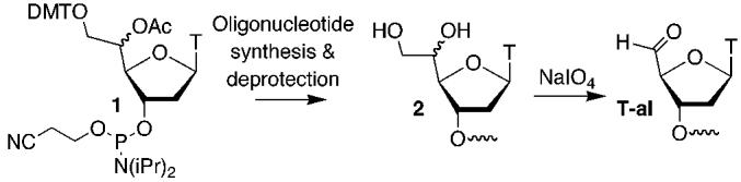 SCHEME 2