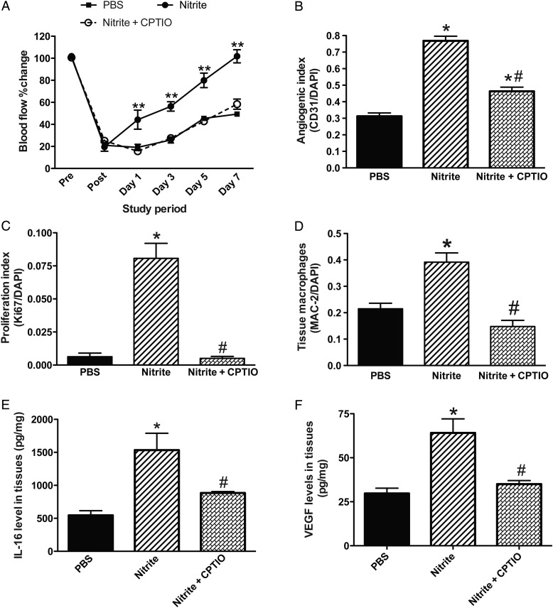 Figure 6